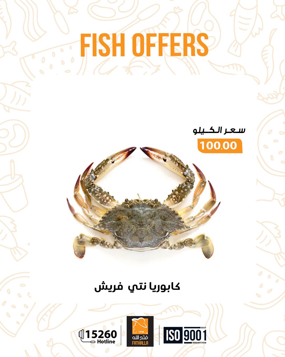 fathalla offers from 29dec to 7jan 2026 عروض فتح الله من 29 ديسمبر حتى 7 يناير 2026 صفحة رقم 13